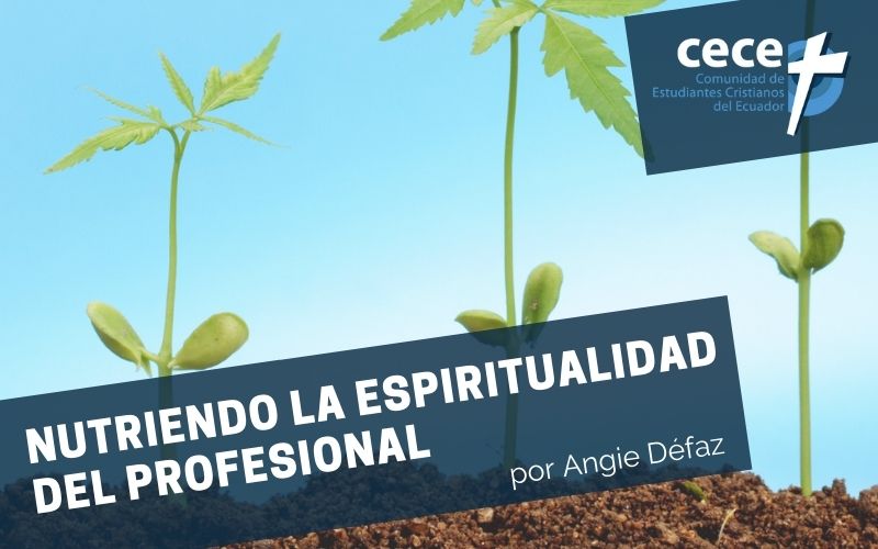 "Nutriendo la espiritualidad del profesional" (www.somoslacece.com)